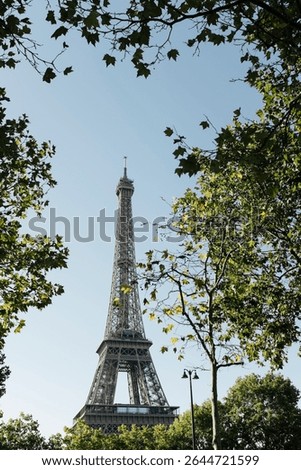 View on Eiffeltower, summer evening 