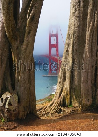 View on the Golden Gate Bridge, Presidio Park, San Francisco, California