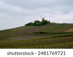 View on grand cru Champagne vineyards near Moulin de Verzenay, rows of pinot noir grape plants in Montagne de Reims near Verzy and Verzenay, Champagne, France in spring