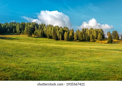 View on green mountain meadow with forest and perfect blue sky on the background. Wonderful nature landscape. Amazing natural Background. Rich Harvest Concept. used as background.