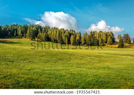 View on green mountain meadow with forest and perfect blue sky on the background. Wonderful nature landscape. Amazing natural Background. Rich Harvest Concept. used as background.