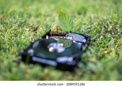 View on a hard disk drive with a bitcoin and a chia leaf representing cryptocurrencies on the grass on a sunny day.
