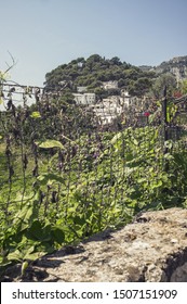 View On A Hill On Capri Island With Buildings Inbetween Green Nature