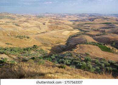 View On Hills And Fields Farm Land, Scenic View Of Sicily Summer Agriculture 