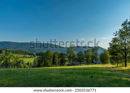 view on Jizerske hory with trees and meadow