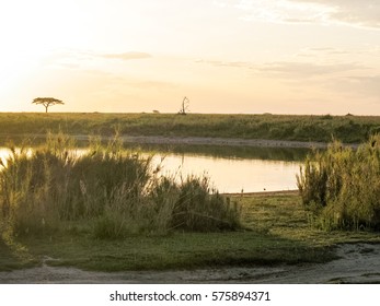 View on lake in back lit at dawn. Serengeti National Park, Great Rift Valley, Tanzania.
