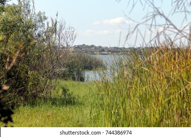 View On Lake Corpus Christi From The Trail In Lake Corpus Christi State Park, Texas