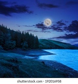 View On Lake Near The Forest With Some  Pine Treesat Night On Mountain Background In Moon Light