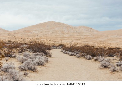 The View On Majestic Dunes In Mojave National Preserve