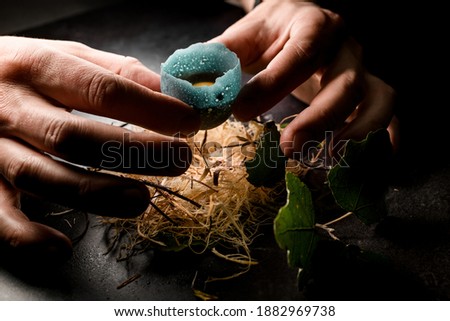 view on male hands holding egg in blue shell and place it in wood fiber nest. Molecular cuisine concepts