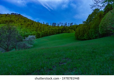 A View On A Meadow With A Blossoming Tree And A Woody Hill In The Polish Beskidy Mountains