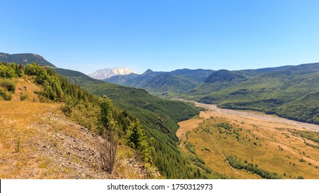 View On Mount St. Helens And North Fork Toutle River Valley From Observation Point On Sunny Summer Day, Washington State, USA