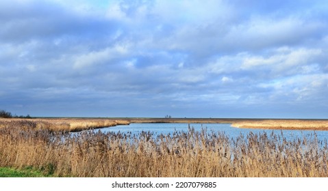 View on Oostvaardersplassen national park, Netherlands, from the South side  Sunlight illuminates parts of the yellow reed beds  - Powered by Shutterstock