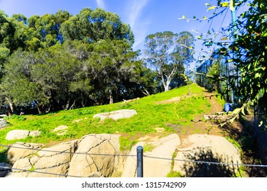 view on the park