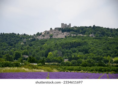 View on rows of blossoming purple lavender, green fiels and Lacoste village in Luberon, Provence, France in summer