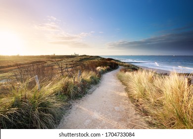 view on sea beach from path on dunes, Netherlands