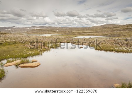 View on small lake - Westfjords, Iceland.