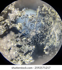 View on snowflake under microscope ocular