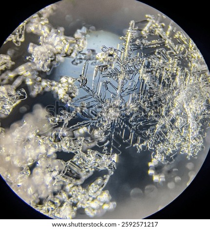 View on snowflake under microscope ocular