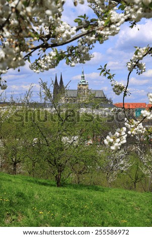 Similar – Dresden im Frühling