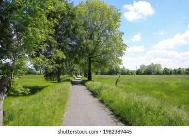 View On Straight Flat Cycling Track In Rural Landscape With Agricultural Field And Trees In Summer Between Viersen (Suchteln) And Kempen, Germany (lower Rhine)