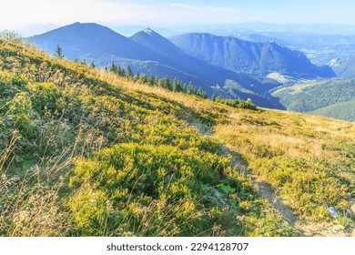 View on a sunny summer day from the green hiking trail descending from the top of Veľký Kriváň (Malá Fatra, Slovakia) to Vrátna. In the foreground Kraviarske peak, on the right Baraniarky peak.