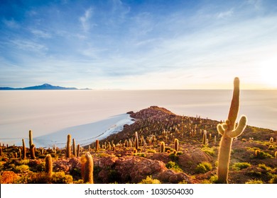 View on sunrise over island incahuasi by salt lake Uyuni in Bolivia - Powered by Shutterstock