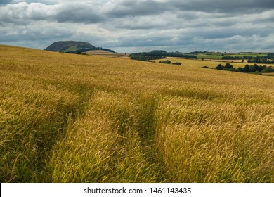 View On Traprain Law And Rucklaw, East Lothian, Scotland.