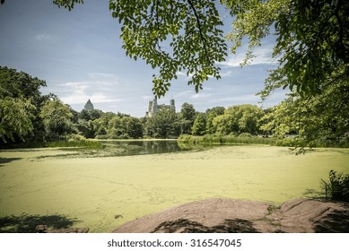 View On The Turtle Pond In Central Park In New York