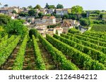 View on vineyards of Saint Emilion village in Bordeaux region, France