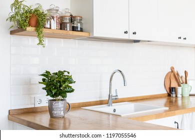 View On White Kitchen In Scandinavian Style, Kitchen Details, Coffee Tree Plant On Wooden Table, White Ceramic Brick Wall Background