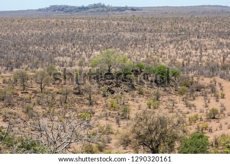 View on wide Kruger landscape, viewpoint