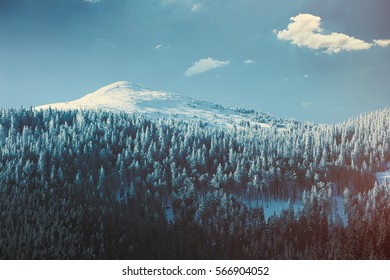 View On Winter Mountains Tatry, Poland 