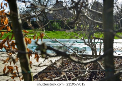 View On A Winter Swimming Pool Cover Between The Foliage Hedge