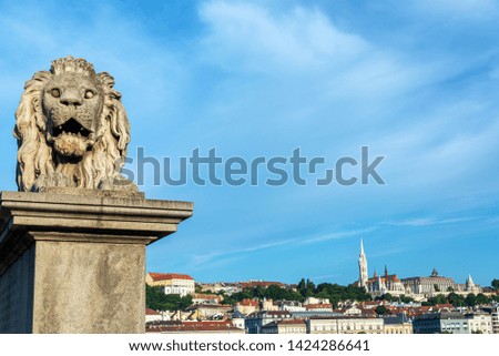 Similar – Image, Stock Photo View of Szechenyi Bridge and St. Stephen Cathedral in Budapest