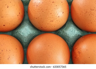 eggseat