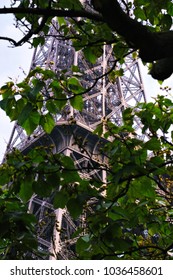 View of the openwork design Eiffel Tower through the foliage of trees.