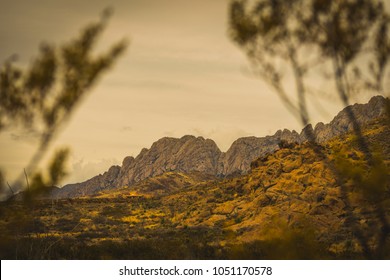 View Of Organ Mountains (New Mexico)