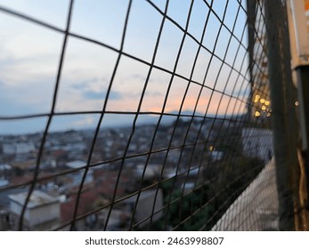 “The view out of the cage”