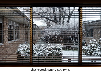 View Out An Office Window With Snow Falling During A Big Snow Storm In The Winter