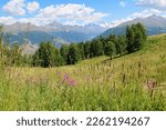 View over a alpine meadow and forest towards a mountain range in the Swiss Alps including Dent Blanche