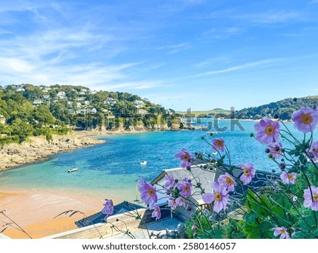 View over a bay on Devon on a sunny day, with pink flowers in the foreground 