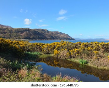 Arran Hd Stock Images Shutterstock