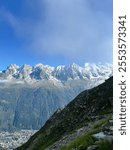 View over Chamonix from Mount Brevent 