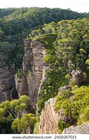 View over the cliffs and lush valleys of the Blue Mountains National Park from the Pulpit Rock Lookout in New South Wales, Australia