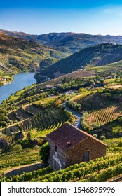 View Over The Douro Valley In Mesao Frio, Portugal.