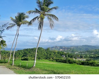 View Over Farm Land, Hills And Mountains Of Barbados From Morgan Lewis Sugar Mill