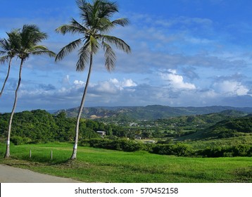 View Over Farm Land, Hills And Mountains Of Barbados From Morgan Lewis Sugar Mill