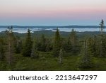 View over finnish wilderness landscape with boreal forest, and blue lakes at dusk, Riisitunturi, Lapland, Posio, Finland