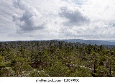 view over forest with cloudy sky - norway
